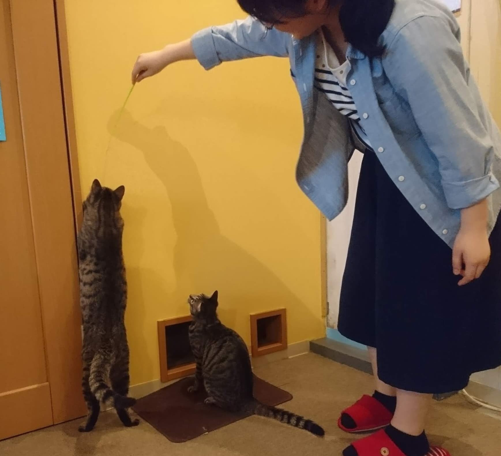 maru さん